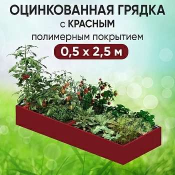 Грядка красная (0,5 х 2,5)