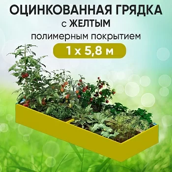 Грядка желтая (1 х 5,8)